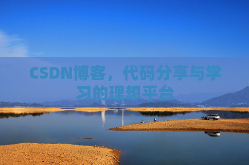 CSDN博客，代码分享与学习的理想平台